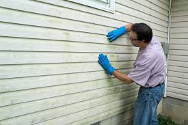 Best Wood Siding Installation  in Chino Valley, AZ